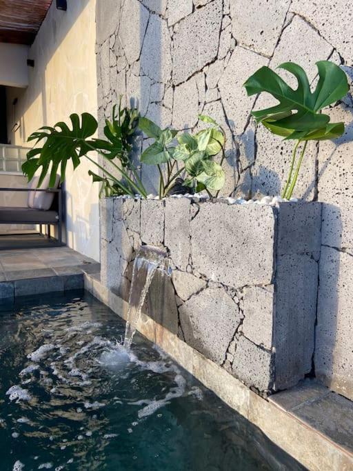 Cocoon Love Avec Piscine Privative Saint-Louis Extérieur photo